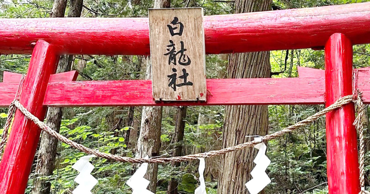 白龍神社の白蛇さまと水の神様。財運と禊ぎの浄化ワークを掲載